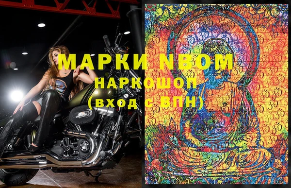 стаф Магас