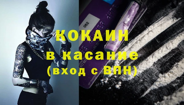 стаф Магас