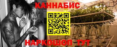 СК Гагарин