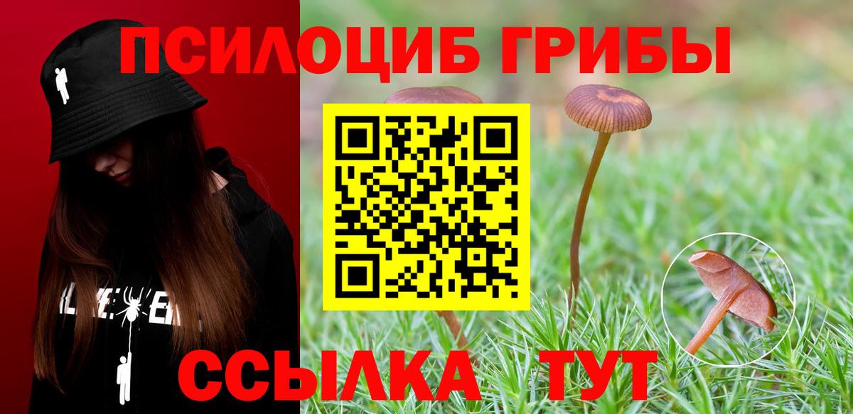 цена   Вход с VPN  Добрянка  Псилоцибиновые грибы ЛСД 