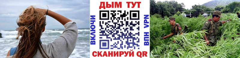 МАРИХУАНА Amnesia  KRAKEN как зайти  Добрянка 